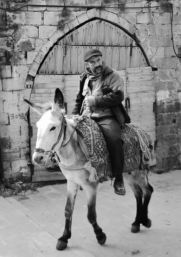 Mardin