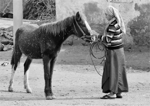 Harran